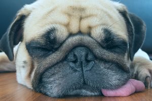 Breathing New Life Into a Tired Marketing Formula
