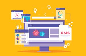7 Core Criteria for Assessing a New CMS 
